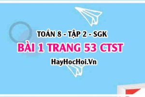 Bài 1 trang 53 Toán 8 Tập 2 Chân trời sáng tạo